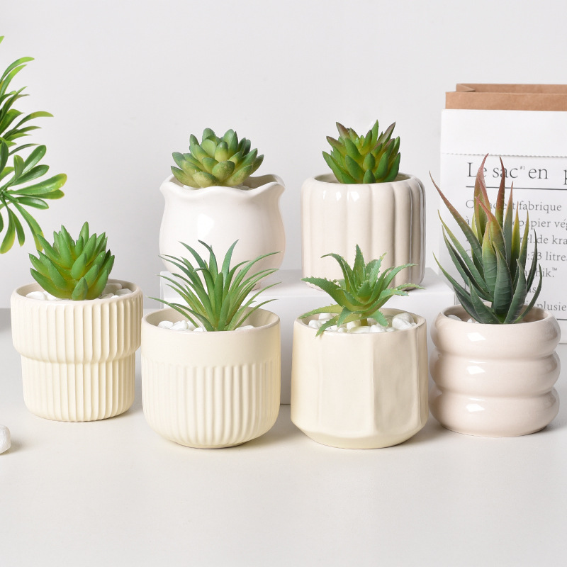 Echeveria Succulent - Ceramic Self-Watering Succulent Planter, White Minimalist