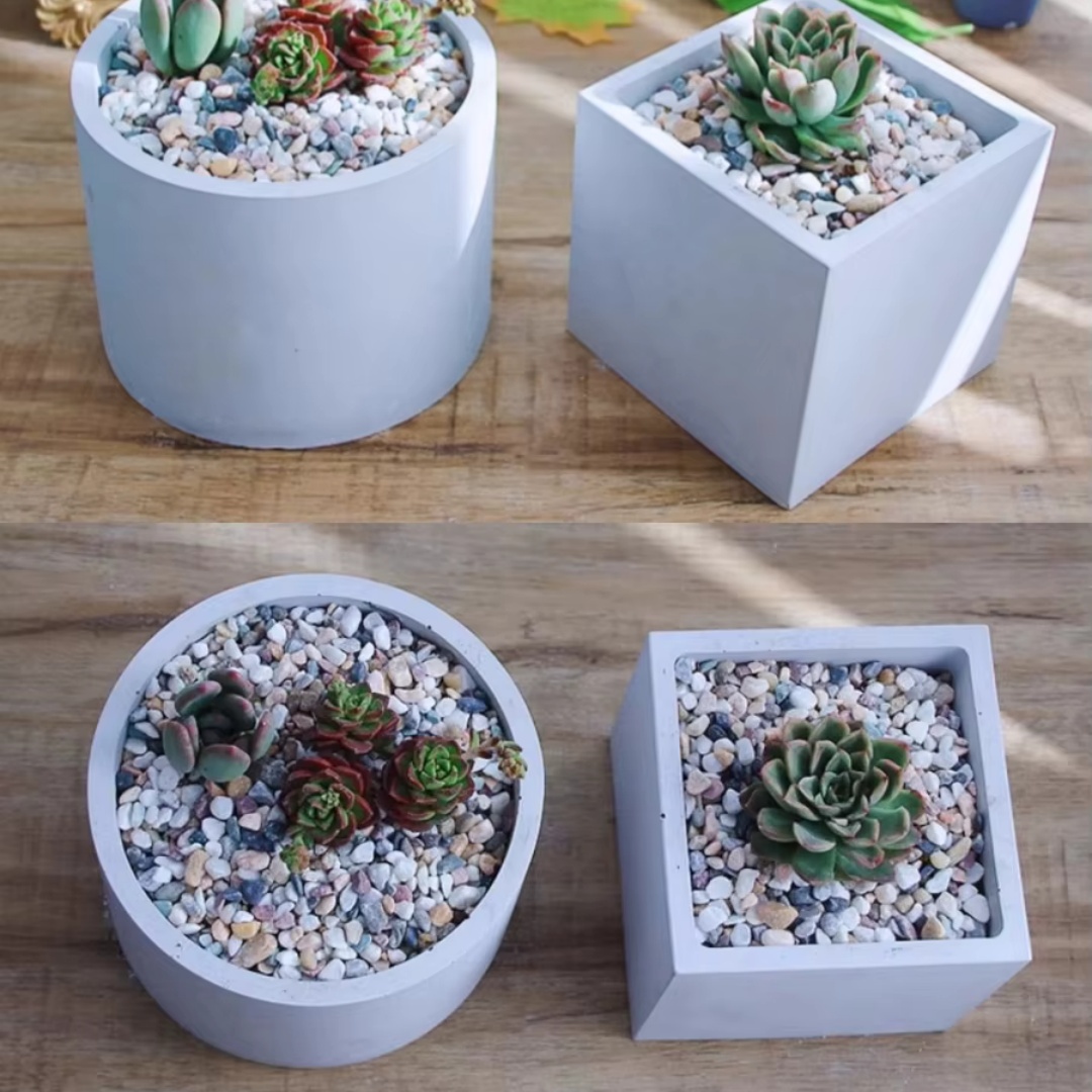 15cm Large Size Round Concrete - Echeveria Succulent ulasan dan harga
